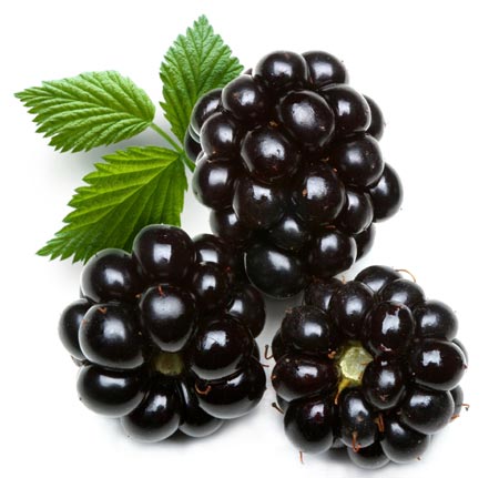 Blackberries