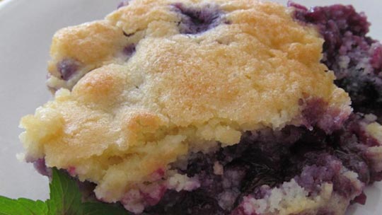 Blueberry Cobbler