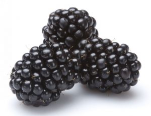 blackberries