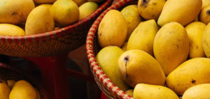 Mangos in a Basket