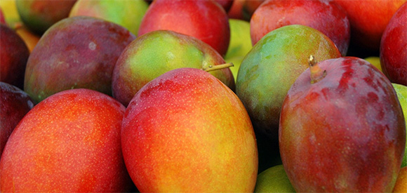 mexican mangos